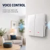 QOLTEC Smart Light Switch WiFi 2-gang timer Tuya wit