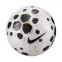 Nike Control 25 maat 5 voetbal wit/zwart HV4395 100
