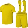 Nike Dri-FIT Park VIII sportset voor kleine kinderen geel L