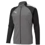 Puma teamLIGA Training Heren Trainingsshirt met kwartrits Puma Black-Asphalt Maat L