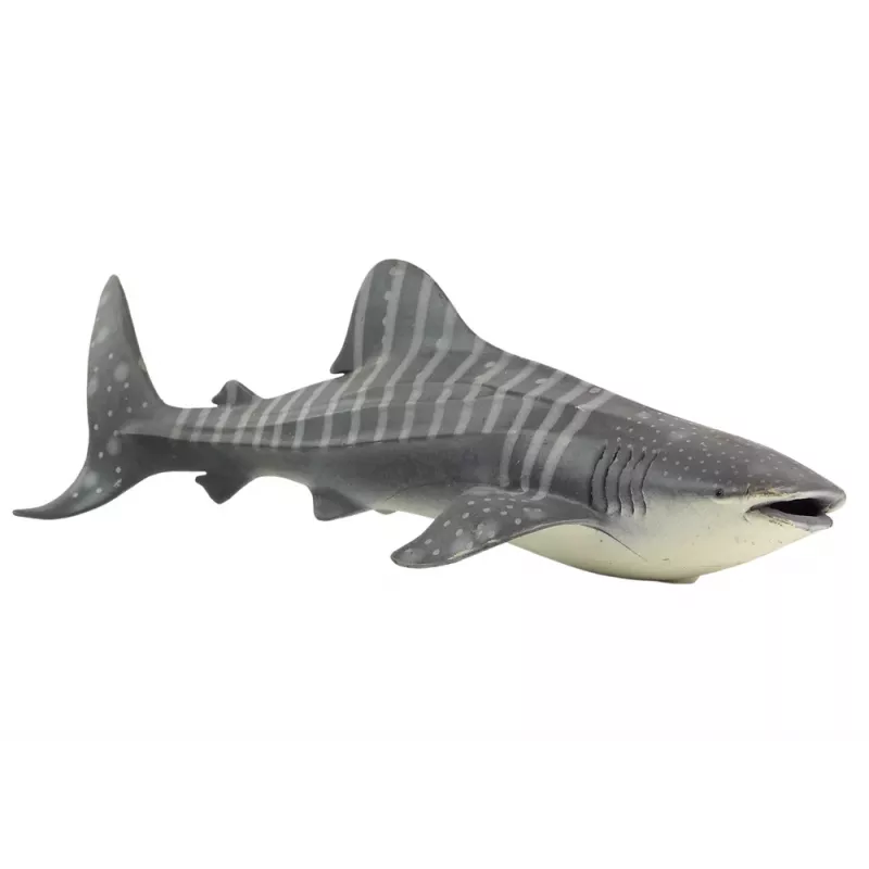 LEAN TOYS grote walvishaai spaarfiguur Wereld van de zeeën