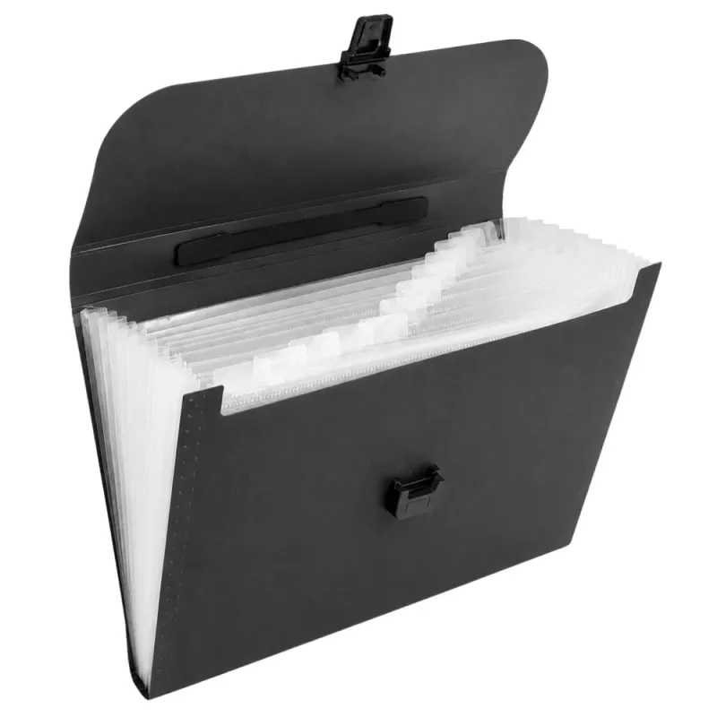 LEAN Accordeon Organizer voor Documenten, 13 Vakken, A4, Zwart