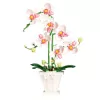 LEAN TOYS orchidee bouwstenen orchidee in pot roze en wit 718 delen