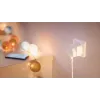 Philips Smart slimme stekker met energiemeting type F 2-pack