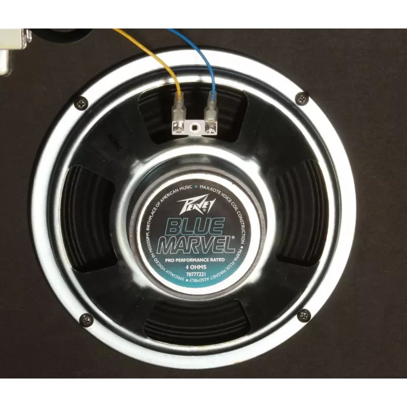 Peavey Electronics Rage 158 - 15W gitaarversterker