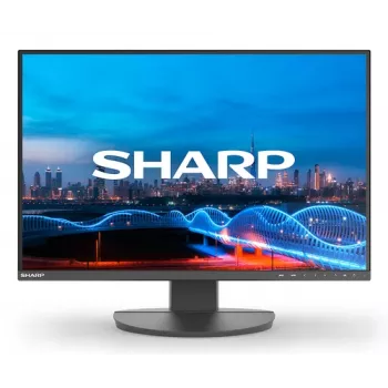 DD-EA241W ZWART 24 INCH IPS 1920X1200 16:10 5MS 1000:1 3