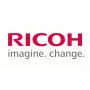 Ricoh D1796324 (D179-6324) aandrijving voor overdrachts-/scheidingseenheid