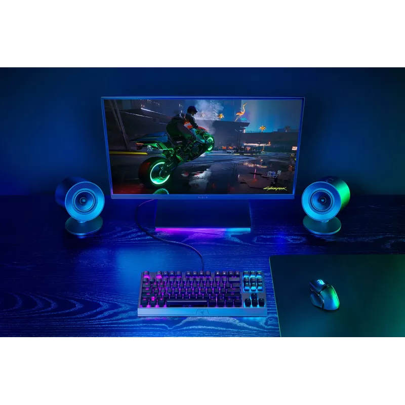 Razer luidspreker RZ05-04760100-R3G1 / Nommo V2 X zwart