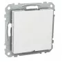 SCHNEIDER ELECTRIC EXXACT CENTRAALPLAAT, WIT