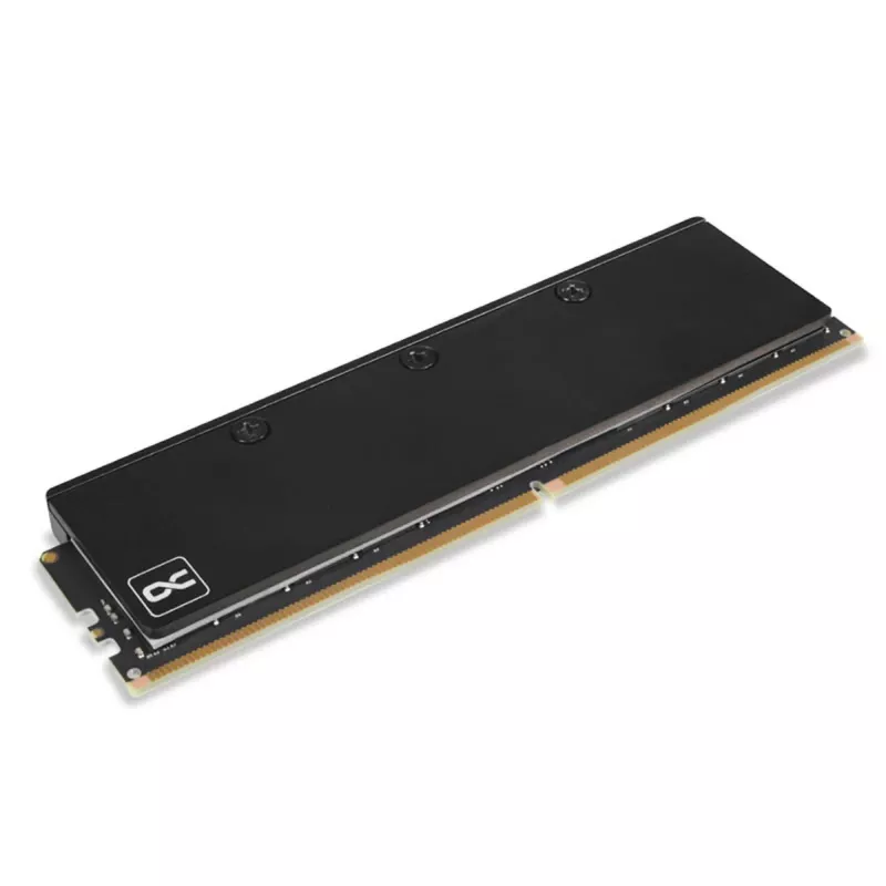 Alphacool 17631 Core DDR5-RAM-waterblok, 2 stuks, zwart