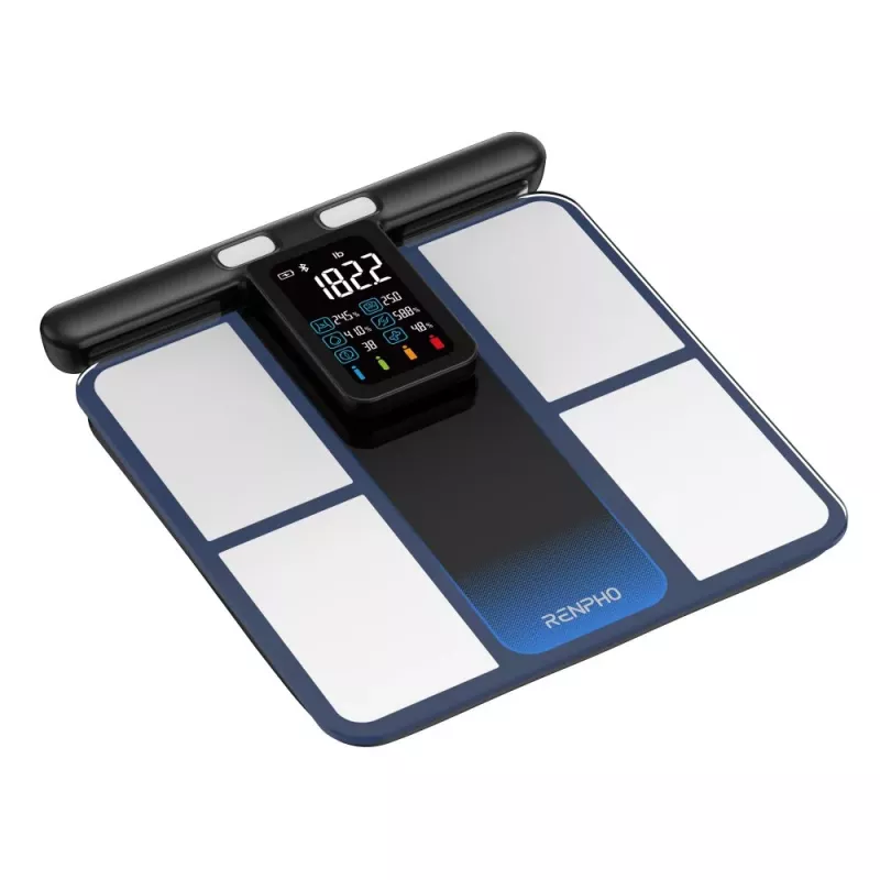 RENPHO MorphoScan MSC01 Weegschaal, Zwart/Zilver, USB-C, Bluetooth