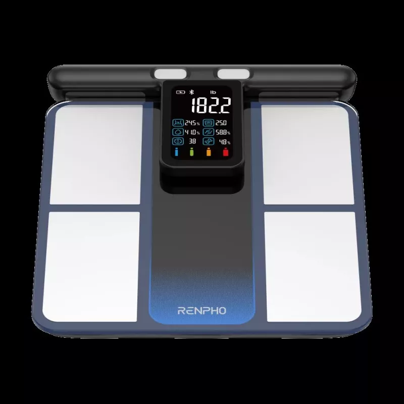 RENPHO MorphoScan MSC01 Weegschaal, Zwart/Zilver, USB-C, Bluetooth