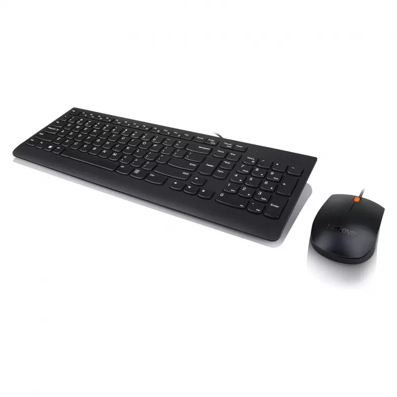 Lenovo 300 USB-toetsenbord - US English QWERTY - zwart