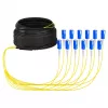 EFB Trunkkabel U-DQ(ZN)BH OS2 12E (1x12) SC-SC 40m Dca LSZH G657A1