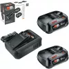 Bosch 18V Starter Set 2 x 2,5 Ah accu's + AL 18V-44 oplader (1600A031T5)
