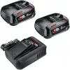 Bosch 18V Starter Set 2 x 2,5 Ah accu's + AL 18V-44 oplader (1600A031T5)