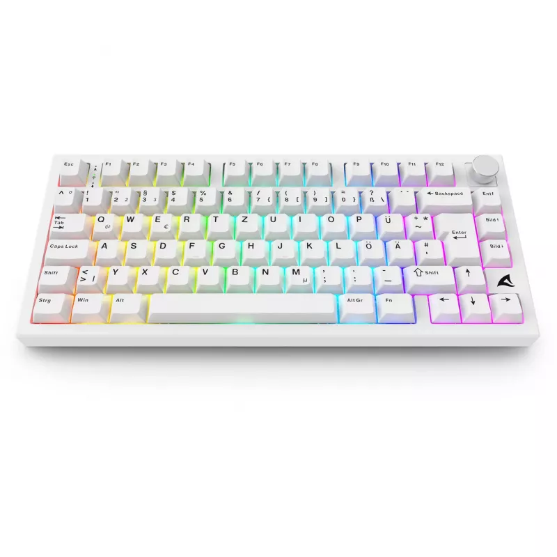 Sharkoon SGK55W SKILLER draadloos gaming toetsenbord, 75% layout, PBT keycaps, wit