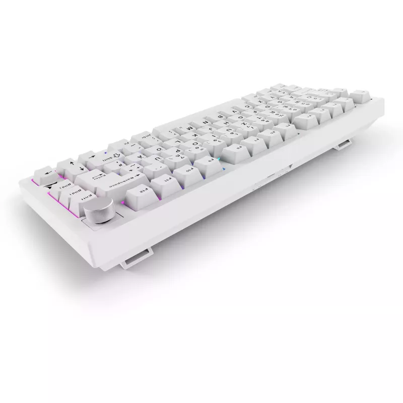 Sharkoon SGK55W SKILLER draadloos gaming toetsenbord, 75% layout, PBT keycaps, wit