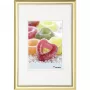 Walther Design Trendstyle 18x24 goud kunststof fotolijst KP824G