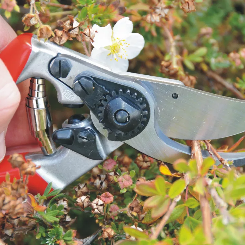 FELCO 9 linkshandige bypass-takenschaar - gesmeed aluminium
