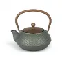 Bredemeijer Jiangxi gietijzeren theepot 0,7 L blauw met RVS-filter