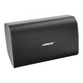 Bose DesignMax DM10S-SUB subwoofer 250 watt 10 inch zwart
