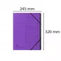 Exacompta ordner 12 vakken violet Colorspan