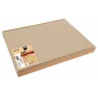 PROnappe 100 tafelplacemats beige 30 x 40 cm