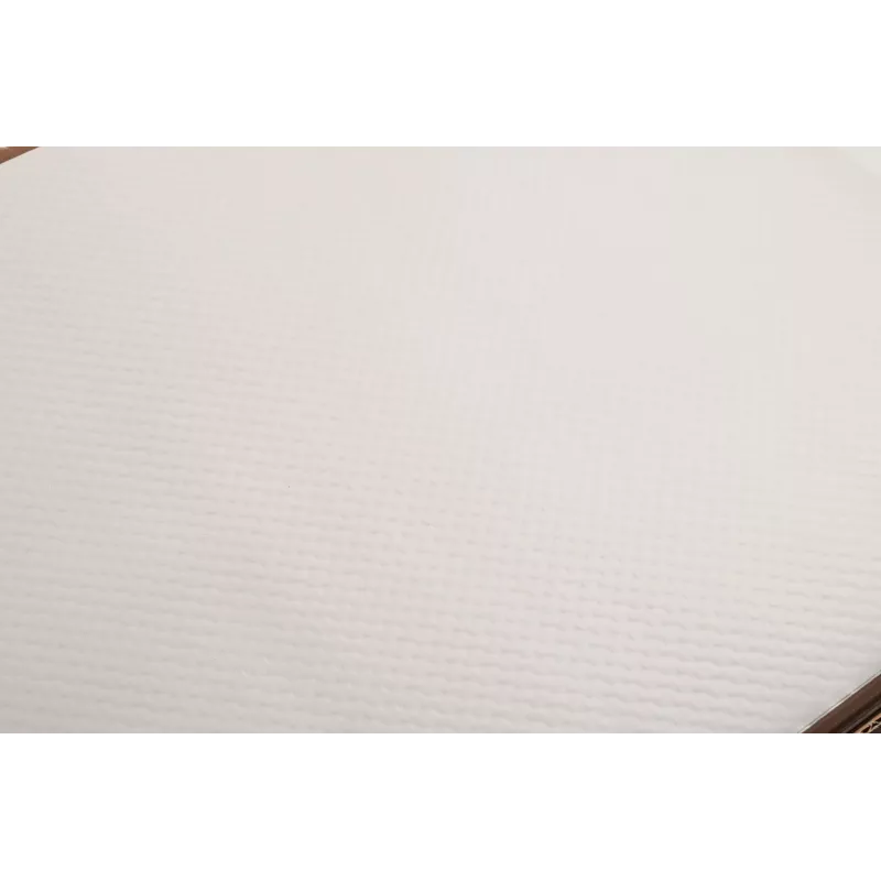 PROnappe 500 tafelplacemats Tiss Lack wit 30,0 x 40,0 cm