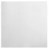 PROnappe papieren servetten wit 2-laags 20 x 20 cm 50 stuks