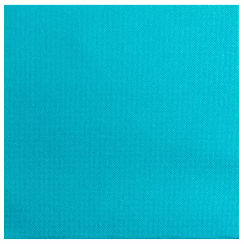 PROnappe servetten turquoise 2-laags 19,0 x 19,0 cm 40 stuks