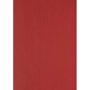 LMG Signaltechnologie 100 LMG Binding Back Covers voor ringbanden, rood