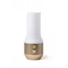 LEXON Terrace+ 3-in-1 LED-lamp, Bluetooth-luidspreker, powerbank 2000 mAh, goud LA134D