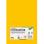 Folia 614/50 15 Karton A4 Goudgeel 300 g/m² 50 vel