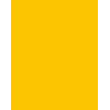 Folia 614/50 15 Karton A4 Goudgeel 300 g/m² 50 vel