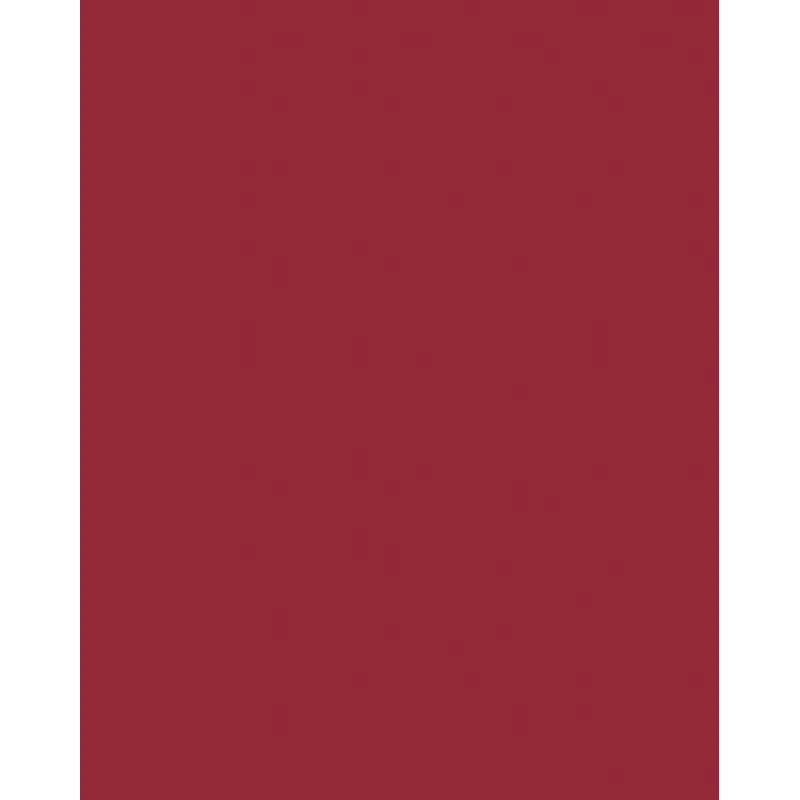 Folia 614/50 22 - Rood - Uni - A4 (210 x 297 mm) - 300 g/m² - 50 vel - Duitsland