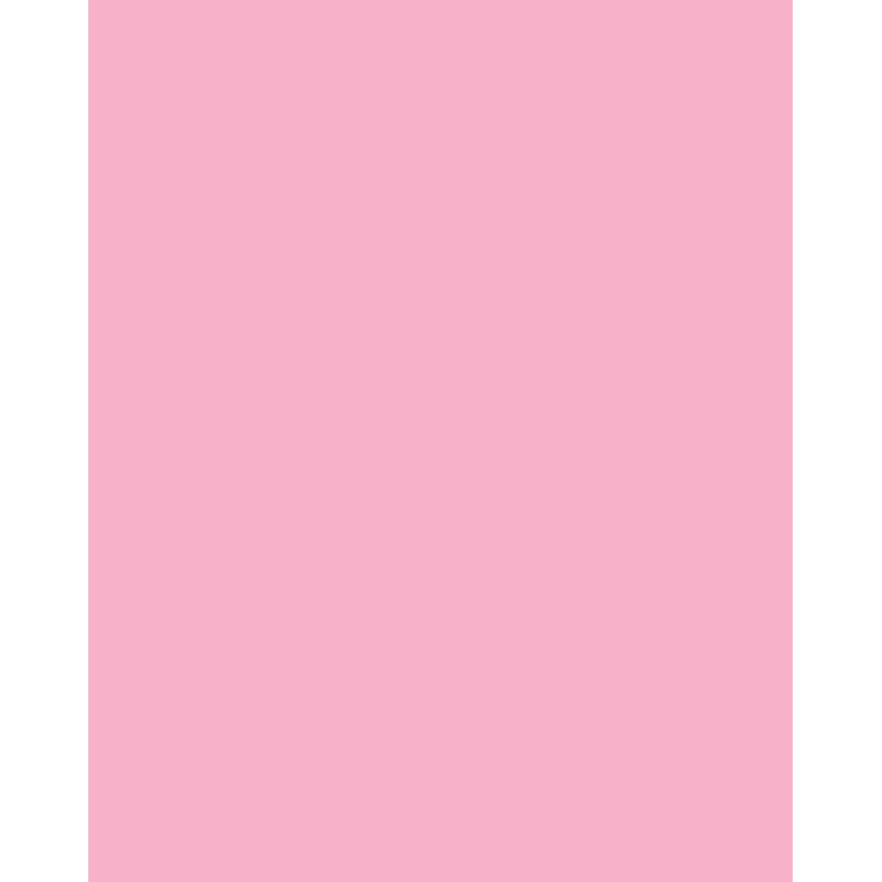 Folia 614/50 26 - Roze - Effen - A4 (210 x 297 mm) - 300 g/m² - 50 vel - Duitsland