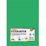 Folia 614/50 54 - Groen - Effen - A4 (210 x 297 mm) - 300 g/m² - 50 vel - Duitsland