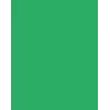 Folia 614/50 54 - Groen - Effen - A4 (210 x 297 mm) - 300 g/m² - 50 vel - Duitsland