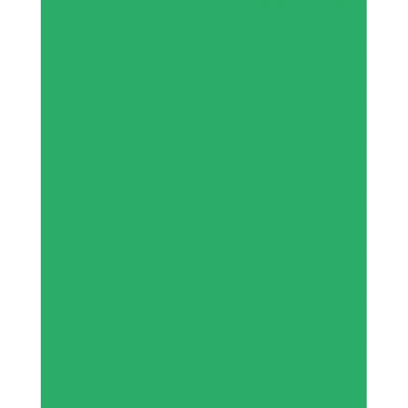 Folia 614/50 54 - Groen - Effen - A4 (210 x 297 mm) - 300 g/m² - 50 vel - Duitsland