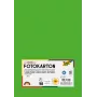 Folia 614/50 55 - Groen - Uni - A4 (210 x 297 mm) - 300 g/m² - 50 vel - Duitsland