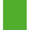 Folia 614/50 55 - Groen - Uni - A4 (210 x 297 mm) - 300 g/m² - 50 vel - Duitsland