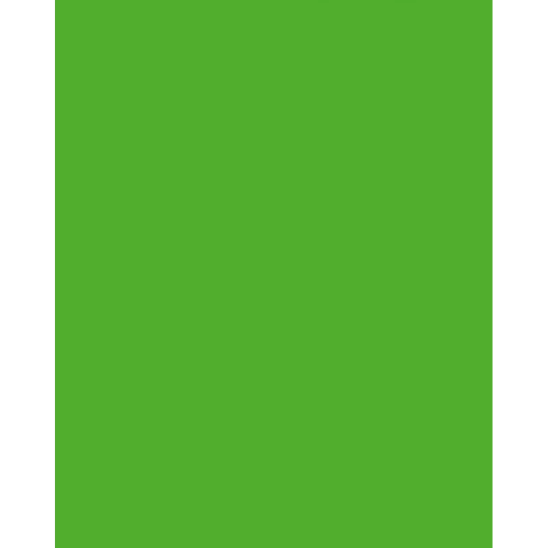 Folia 614/50 55 - Groen - Uni - A4 (210 x 297 mm) - 300 g/m² - 50 vel - Duitsland