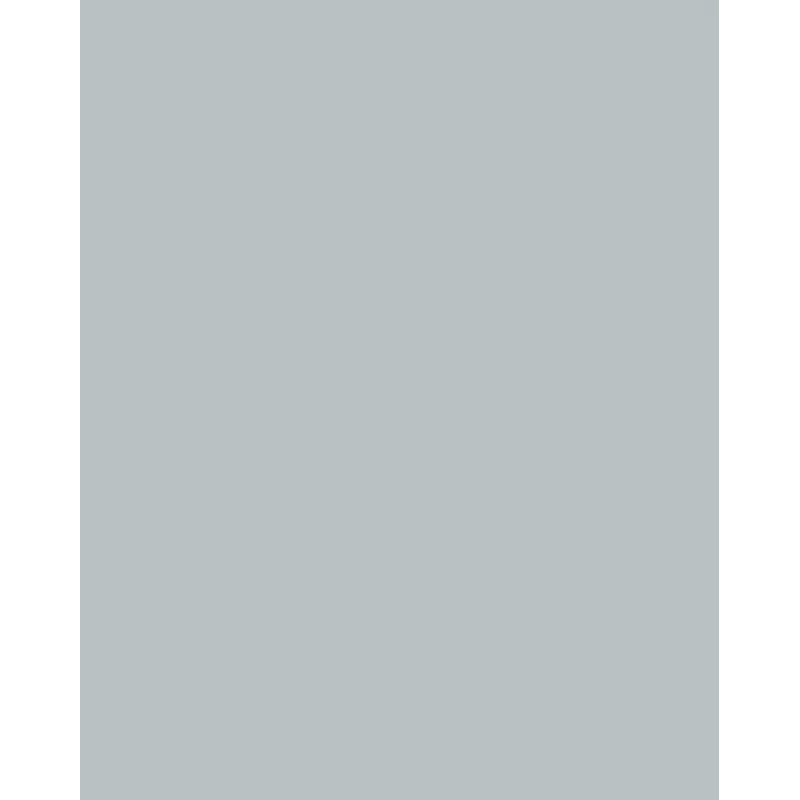 Folia 614/50 60 designpapier - zilver - A4 (210 x 297 mm) - 300 g/m² - mat - 50 vel