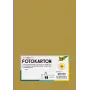Folia 614/50 65 - Goud - Effen Kleur - A4 (210 x 297 mm) - 300 g/m² - Mat - 50 vel