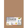 Folia 614/50 75 - Bruinrood - Monochroom - A4 (210 x 297 mm) - 300 g/m² - 50 vel - Duitsland