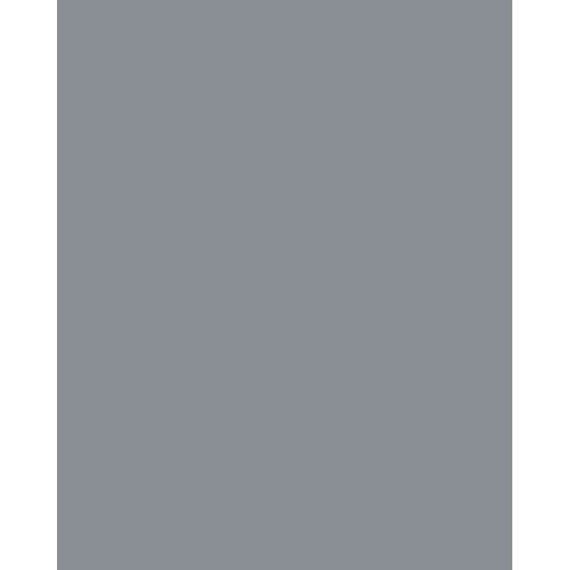 Folia 614/50 84 - Grijs - Uni - A4 (210 x 297 mm) - 300 g/m² - 50 vel - Duitsland