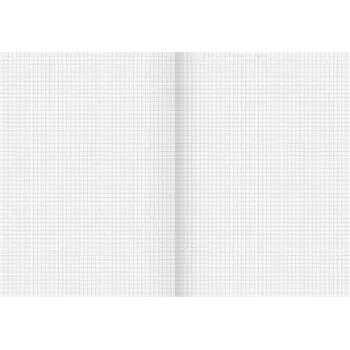 BRUNNEN recycling schoolschrift Lineatur 22, geruit zonder kantlijn, A4