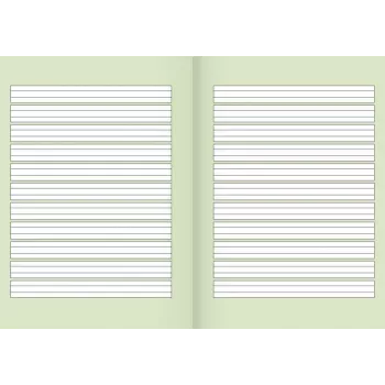 BRUNNEN recycling schrift Lineatur 1 gelinieerd met buitenrand 1e klas