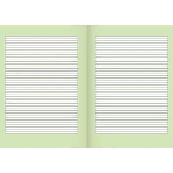 BRUNNEN recycling schrift Lineatur 2 gelinieerd met rand rondom 2e klas